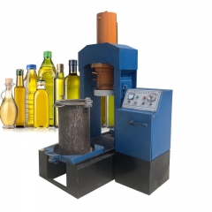 Commercial coconut palm avocado olive oil machine  factory line  seed oil press